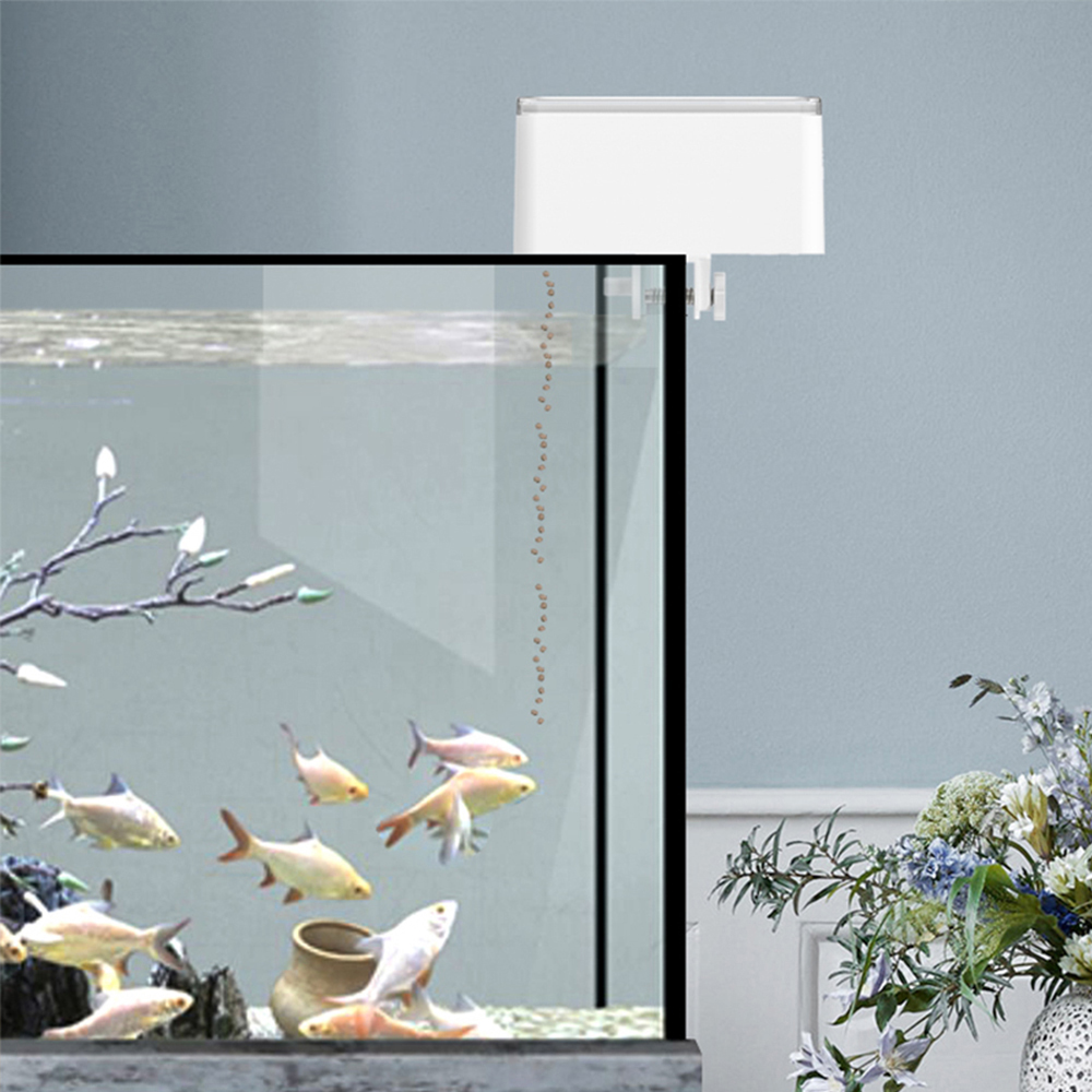 작은 물고기 자동 공급기 스마트 물고기 피더 타이밍 정 - Fishing Line Dispenser 리뷰 및 가격